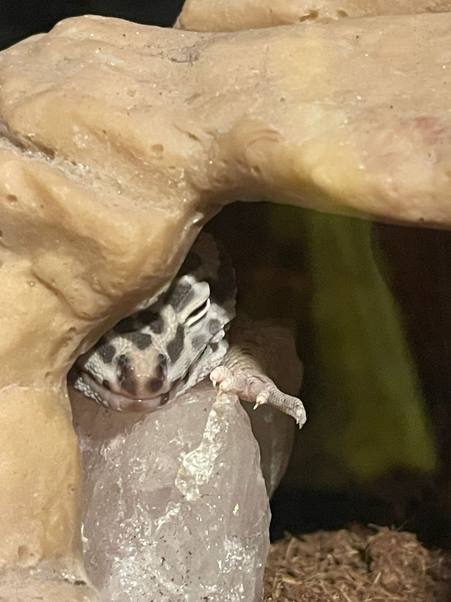 Levi in her cave